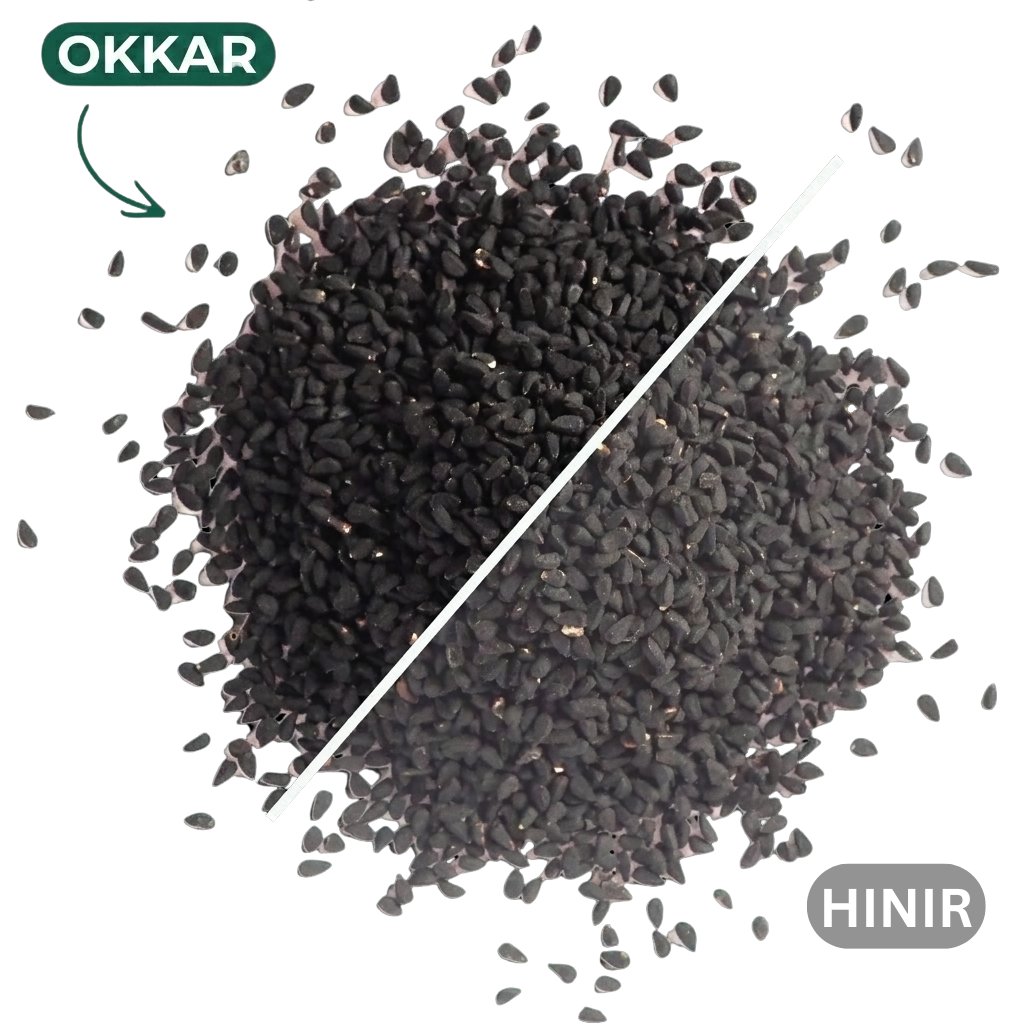 Eþíópísk hálendi