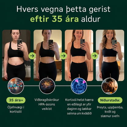 Rhodiola Rosea - Natural Adaptogen [400mg]